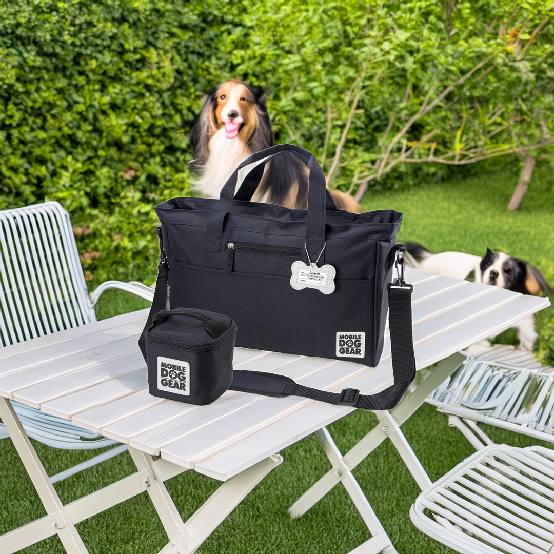 Day Away Dog Travel Tote – Black