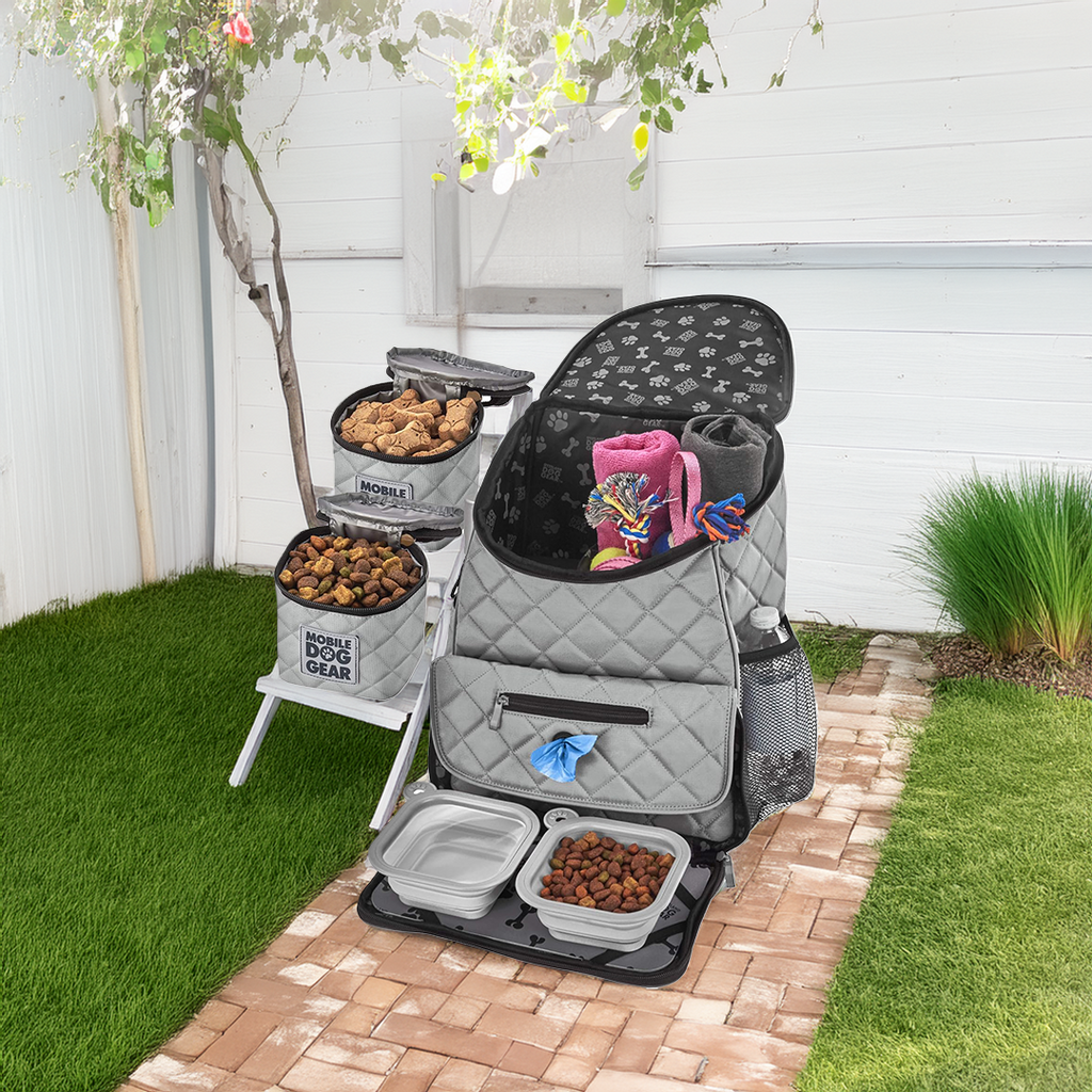 Dog Travel Backpack – Gray