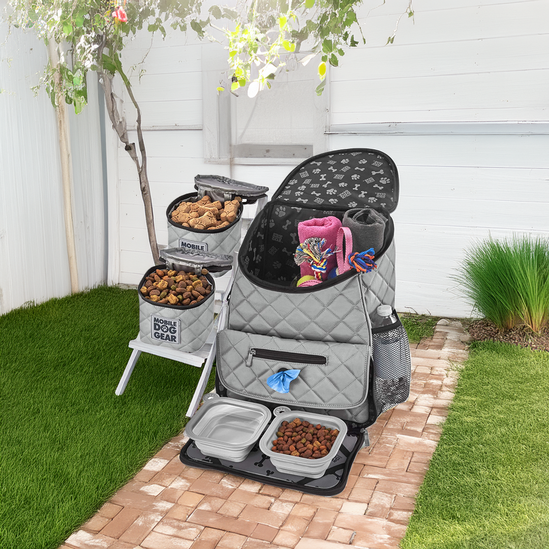 Dog Travel Backpack – Gray